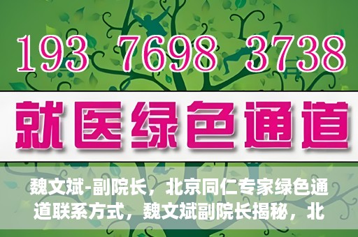 魏文斌-副院长，北京同仁专家绿色通道联系方式，魏文斌副院长揭秘，北京同仁专家绿色通道的联系渠道