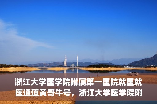 浙江大学医学院附属第一医院就医就医通道黄哥牛号，浙江大学医学院附属第一医院就医通道，黄哥牛号助您轻松挂号就医
