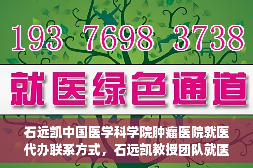 石远凯中国医学科学院肿瘤医院就医代办联系方式，石远凯教授团队就医咨询与代办服务联系方式——中国医学科学院肿瘤医院指南