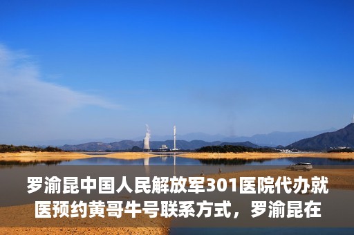 罗渝昆中国人民解放军301医院代办就医预约黄哥牛号联系方式，罗渝昆在解放军301医院的预约就医助手黄哥牛联系方式及代办服务解析