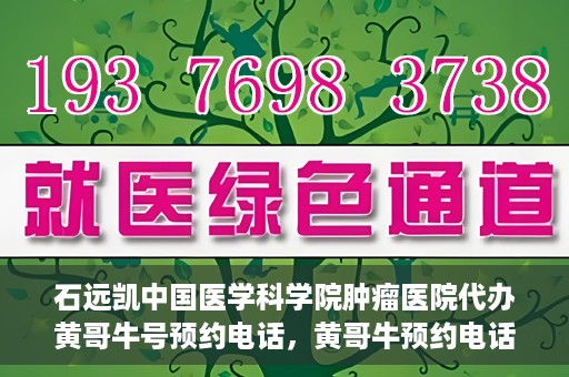 石远凯中国医学科学院肿瘤医院代办黄哥牛号预约电话，黄哥牛预约电话助您轻松预约石远凯教授——中国医学科学院肿瘤医院就医服务