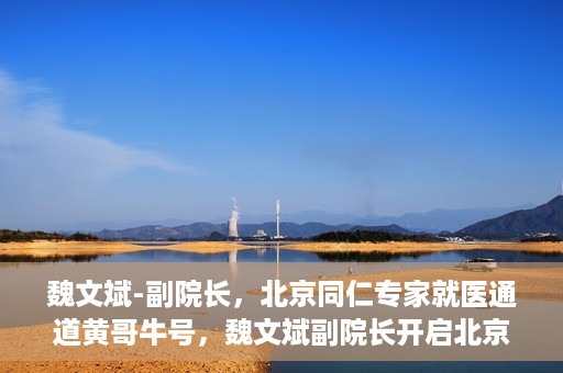 魏文斌-副院长，北京同仁专家就医通道黄哥牛号，魏文斌副院长开启北京同仁专家就医新通道，黄哥牛号引领就医新风尚