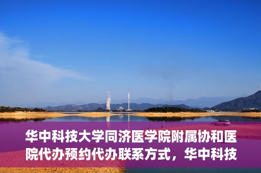 华中科技大学同济医学院附属协和医院代办预约代办联系方式，华中科技大学同济医学院附属协和医院预约代办服务联系方式解析