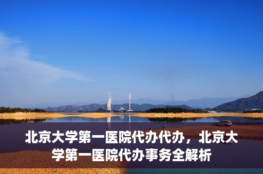 北京大学第一医院代办代办，北京大学第一医院代办事务全解析