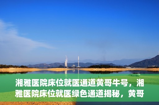 湘雅医院床位就医通道黄哥牛号，湘雅医院床位就医绿色通道揭秘，黄哥牛号领航就医新航道