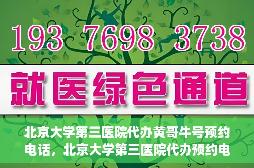 北京大学第三医院代办黄哥牛号预约电话，北京大学第三医院代办预约电话，黄哥牛号预约服务解析与指南