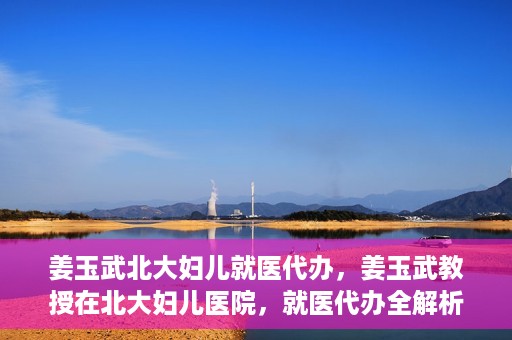 姜玉武北大妇儿就医代办，姜玉武教授在北大妇儿医院，就医代办全解析