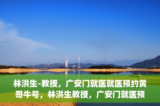 林洪生-教授，广安门就医就医预约黄哥牛号，林洪生教授，广安门就医预约秘籍，黄哥牛号助你轻松挂号