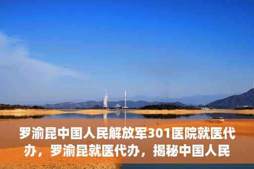 罗渝昆中国人民解放军301医院就医代办，罗渝昆就医代办，揭秘中国人民解放军301医院的医疗代办服务之路