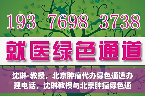 沈琳-教授，北京肿瘤代办绿色通道办理电话，沈琳教授与北京肿瘤绿色通道，快速办理电话指南