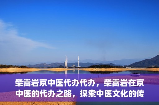 柴嵩岩京中医代办代办，柴嵩岩在京中医的代办之路，探索中医文化的传承与创新