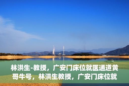 林洪生-教授，广安门床位就医通道黄哥牛号，林洪生教授，广安门床位就医绿色通道揭秘——黄哥牛号引领就医新纪元