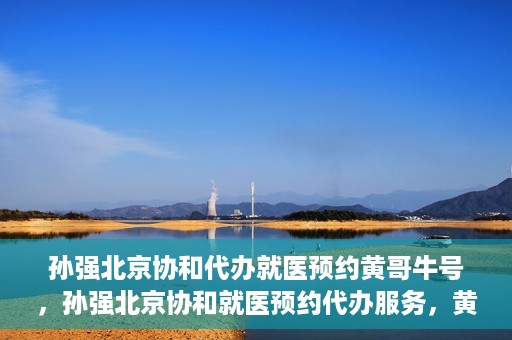 孙强北京协和代办就医预约黄哥牛号，孙强北京协和就医预约代办服务，黄哥牛号助您轻松挂号就医