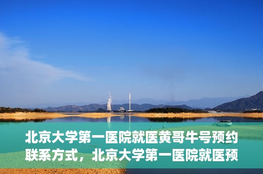 北京大学第一医院就医黄哥牛号预约联系方式，北京大学第一医院就医预约攻略，黄哥牛号预约联系方式揭秘