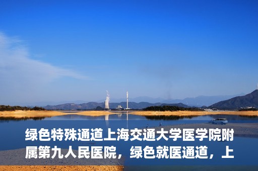 绿色特殊通道上海交通大学医学院附属第九人民医院，绿色就医通道，上海交通大学医学院附属第九人民医院的探索与实践