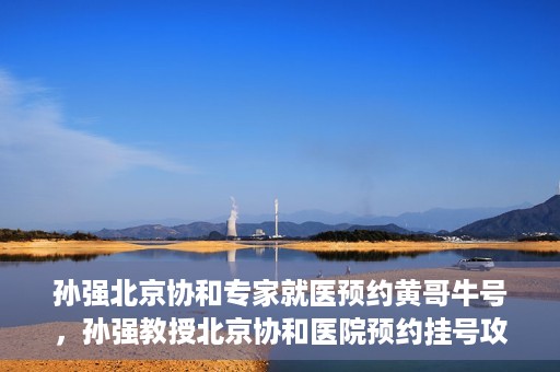 孙强北京协和专家就医预约黄哥牛号，孙强教授北京协和医院预约挂号攻略，黄哥牛号助您轻松就医