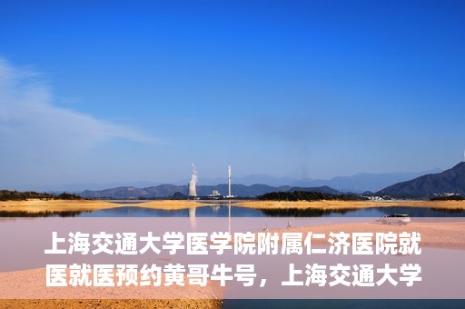 上海交通大学医学院附属仁济医院就医就医预约黄哥牛号，上海交通大学医学院附属仁济医院就医预约指南，黄哥牛号助您轻松挂号就医