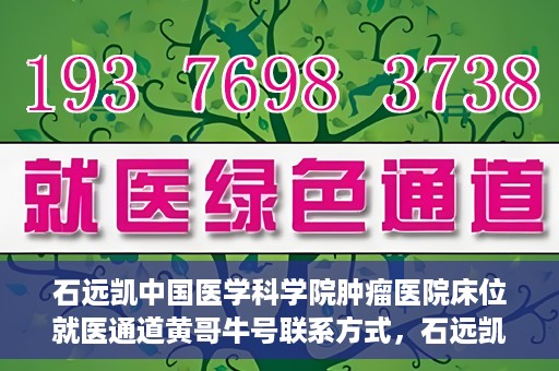 石远凯中国医学科学院肿瘤医院床位就医通道黄哥牛号联系方式，石远凯教授，中国医学科学院肿瘤医院床位就医指南与联系方式揭秘