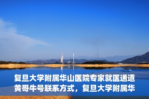 复旦大学附属华山医院专家就医通道黄哥牛号联系方式，复旦大学附属华山医院专家就医通道，黄哥牛号联系方式全解析