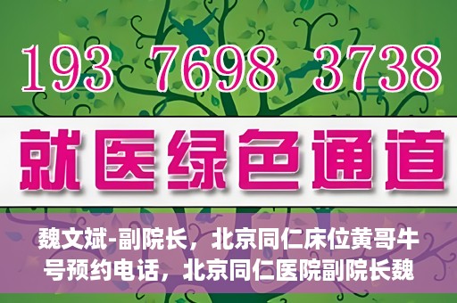 魏文斌-副院长，北京同仁床位黄哥牛号预约电话，北京同仁医院副院长魏文斌，床位预约热线与黄哥牛号的故事