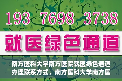 南方医科大学南方医院就医绿色通道办理联系方式，南方医科大学南方医院就医绿色通道办理指南，快速联系与办理方式解析