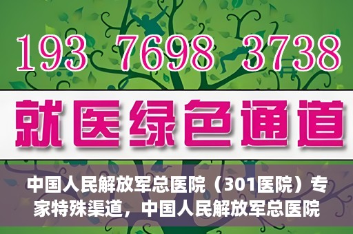 中国人民解放军总医院（301医院）专家特殊渠道，中国人民解放军总医院（301医院）专家特殊渠道揭秘，权威医疗资源的独特对接方式