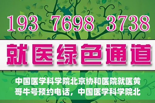 中国医学科学院北京协和医院就医黄哥牛号预约电话，中国医学科学院北京协和医院就医黄哥牛号预约电话详解及指南