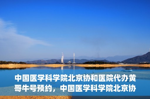 中国医学科学院北京协和医院代办黄哥牛号预约，中国医学科学院北京协和医院黄哥预约挂号代办服务解析