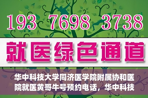 华中科技大学同济医学院附属协和医院就医黄哥牛号预约电话，华中科技大学同济医学院附属协和医院就医预约电话及黄哥牛号预约攻略