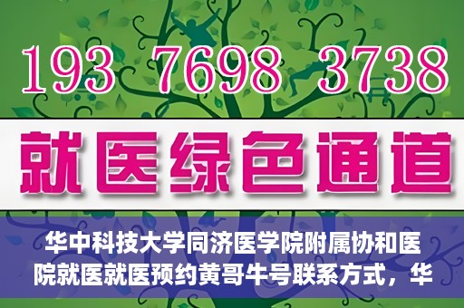 华中科技大学同济医学院附属协和医院就医就医预约黄哥牛号联系方式，华中科技大学同济医学院附属协和医院就医预约指南，黄哥牛号联系方式全解析
