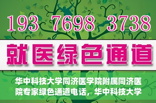 华中科技大学同济医学院附属同济医院专家绿色通道电话，华中科技大学同济医院专家绿色通道联系电话揭秘