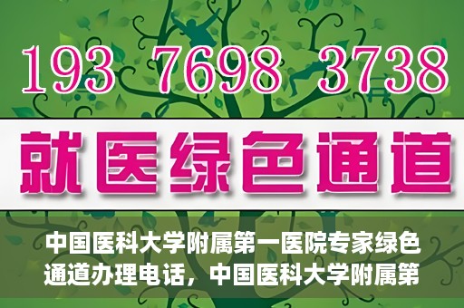 中国医科大学附属第一医院专家绿色通道办理电话，中国医科大学附属第一医院专家绿色通道服务热线电话揭秘