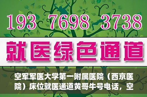 空军军医大学第一附属医院（西京医院）床位就医通道黄哥牛号电话，空军军医大学第一附属医院（西京医院）床位就医通道详解，黄哥牛号电话及预约指南