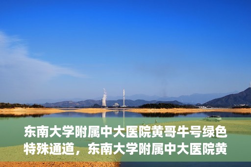 东南大学附属中大医院黄哥牛号绿色特殊通道，东南大学附属中大医院黄哥牛号，绿色特殊通道开启生命之门