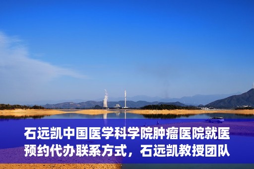 石远凯中国医学科学院肿瘤医院就医预约代办联系方式，石远凯教授团队预约咨询及就医联系方式——中国医学科学院肿瘤医院就医预约代办服务指南