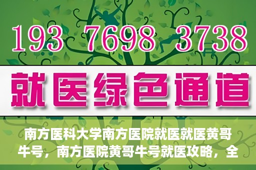 南方医科大学南方医院就医就医黄哥牛号，南方医院黄哥牛号就医攻略，全方位解析就医流程与体验