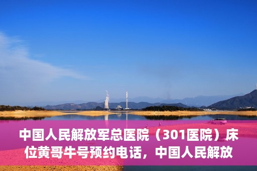 中国人民解放军总医院（301医院）床位黄哥牛号预约电话，中国人民解放军总医院床位预约电话及流程解析