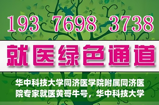 华中科技大学同济医学院附属同济医院专家就医黄哥牛号，华中科技大学同济医院专家解析黄哥牛号背后的医疗奥秘