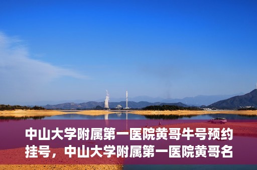 中山大学附属第一医院黄哥牛号预约挂号，中山大学附属第一医院黄哥名医牛号预约挂号攻略