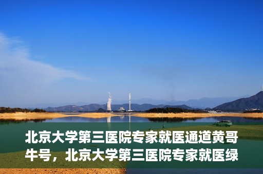 北京大学第三医院专家就医通道黄哥牛号，北京大学第三医院专家就医绿色通道，黄哥牛号引领就医新体验