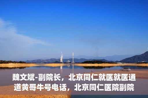 魏文斌-副院长，北京同仁就医就医通道黄哥牛号电话，北京同仁医院副院长魏文斌，就医通道揭秘与黄哥牛号电话解读