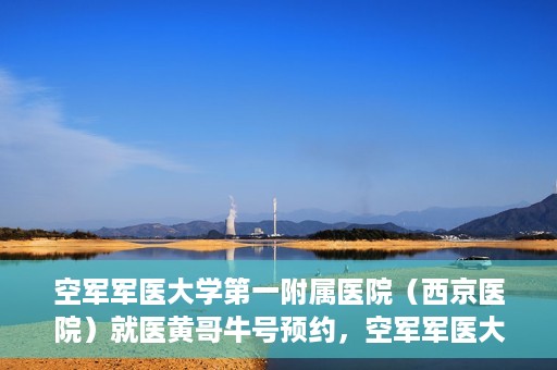 空军军医大学第一附属医院（西京医院）就医黄哥牛号预约，空军军医大学第一附属医院（西京医院）黄哥牛号预约就医攻略