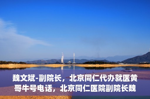 魏文斌-副院长，北京同仁代办就医黄哥牛号电话，北京同仁医院副院长魏文斌，就医黄哥牛号电话背后的故事与探索
