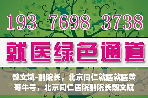 魏文斌-副院长，北京同仁就医就医黄哥牛号，北京同仁医院副院长魏文斌，就医黄哥牛号的背后故事