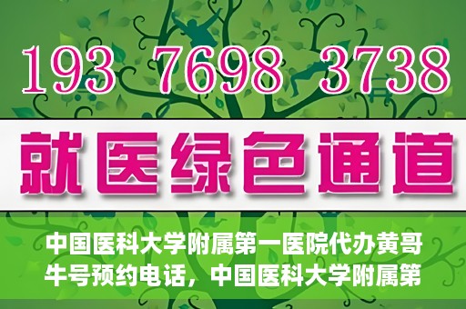中国医科大学附属第一医院代办黄哥牛号预约电话，中国医科大学附属第一医院预约挂号代办服务，黄哥牛号预约电话详解
