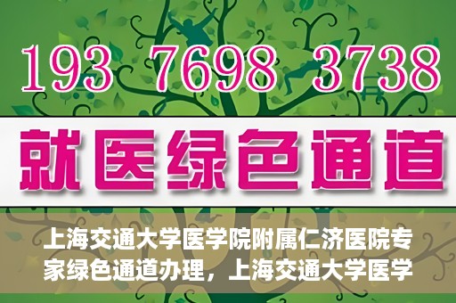 上海交通大学医学院附属仁济医院专家绿色通道办理，上海交通大学医学院附属仁济医院专家绿色通道办理详解与攻略