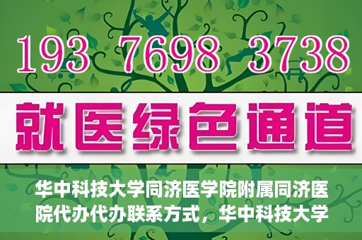 华中科技大学同济医学院附属同济医院代办代办联系方式，华中科技大学同济医学院附属同济医院代办服务联系方式揭秘