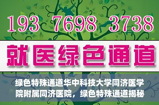 绿色特殊通道华中科技大学同济医学院附属同济医院，绿色特殊通道揭秘，华中科技大学同济医学院附属同济医院的探索之路