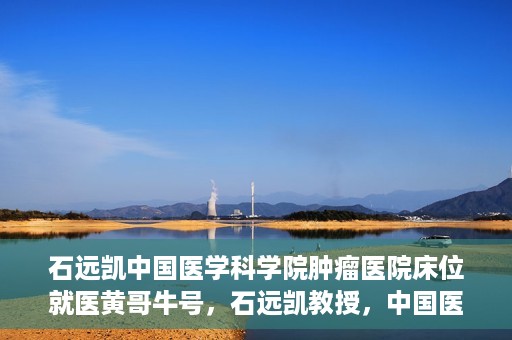 石远凯中国医学科学院肿瘤医院床位就医黄哥牛号，石远凯教授，中国医学科学院肿瘤医院床位就医攻略与黄哥牛号的故事