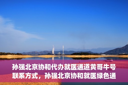 孙强北京协和代办就医通道黄哥牛号联系方式，孙强北京协和就医绿色通道，黄哥牛号联系方式揭秘